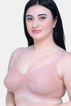 Maroon Clothing Single Layered Non Wired Full Coverage Minimiser Bra (Pack of 3) - Multicolor — thumbnail 11